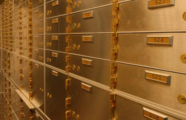 Institutional custody